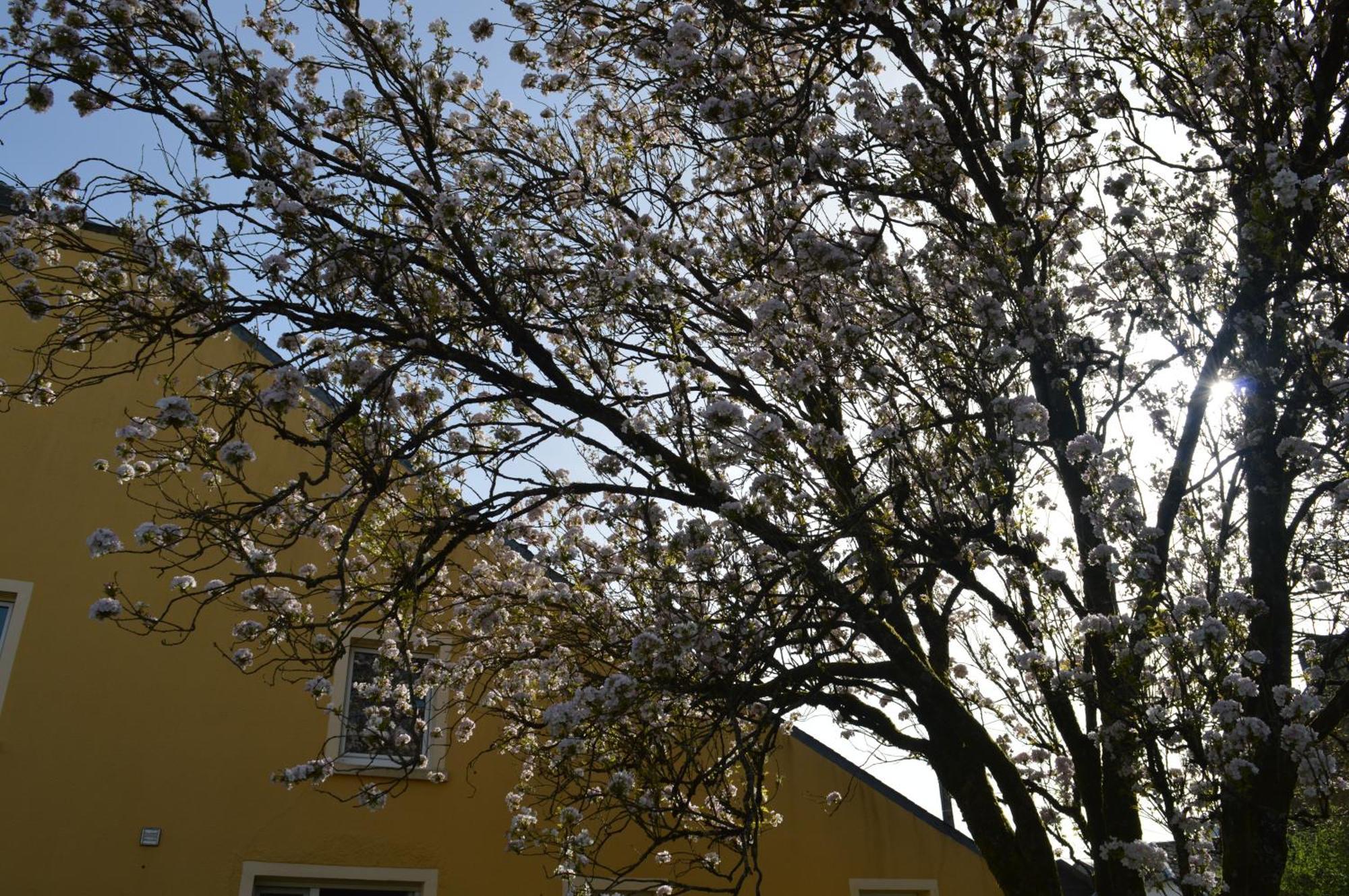 Chez Nous Villa Шини Екстериор снимка
