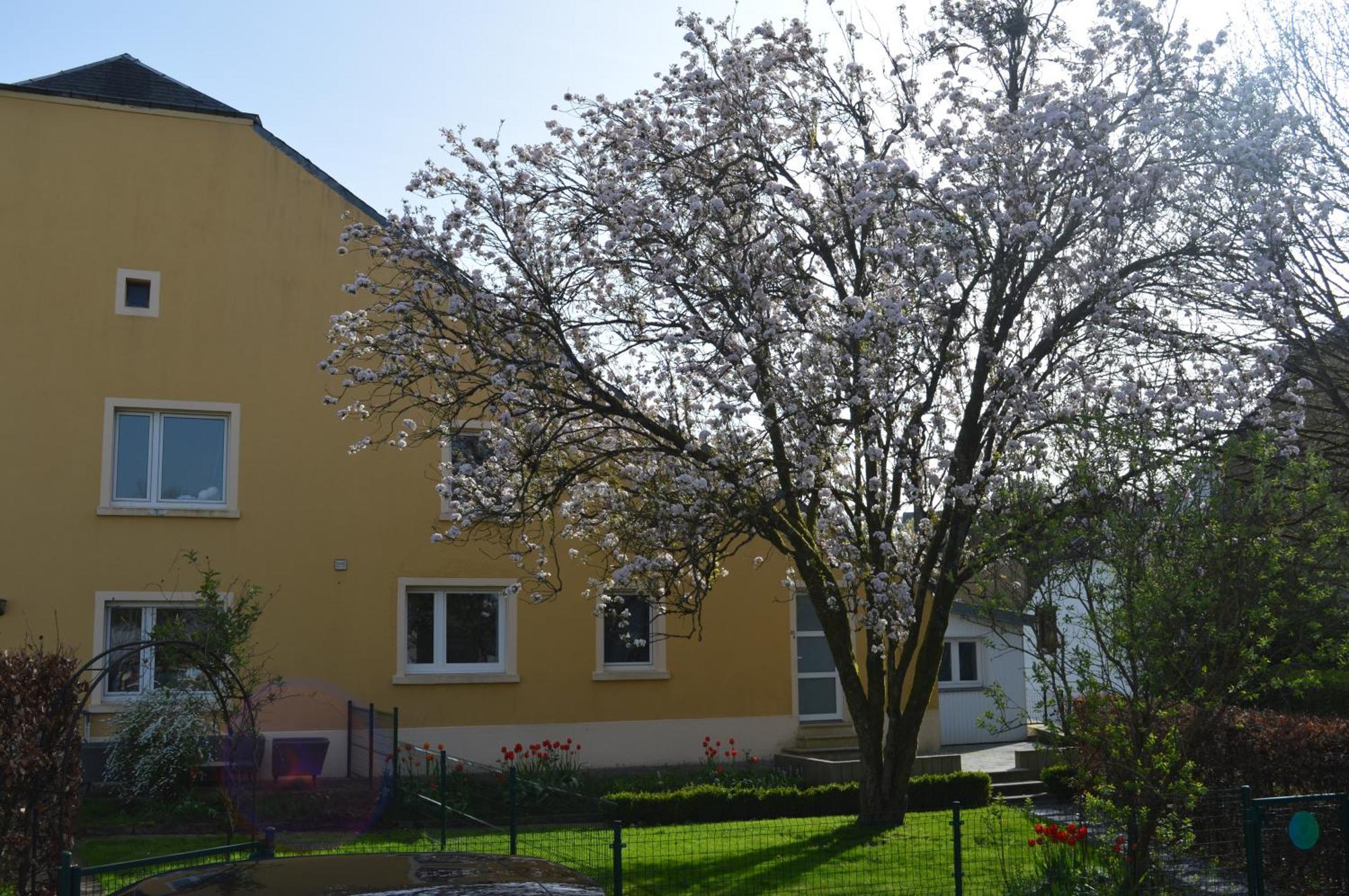 Chez Nous Villa Шини Екстериор снимка